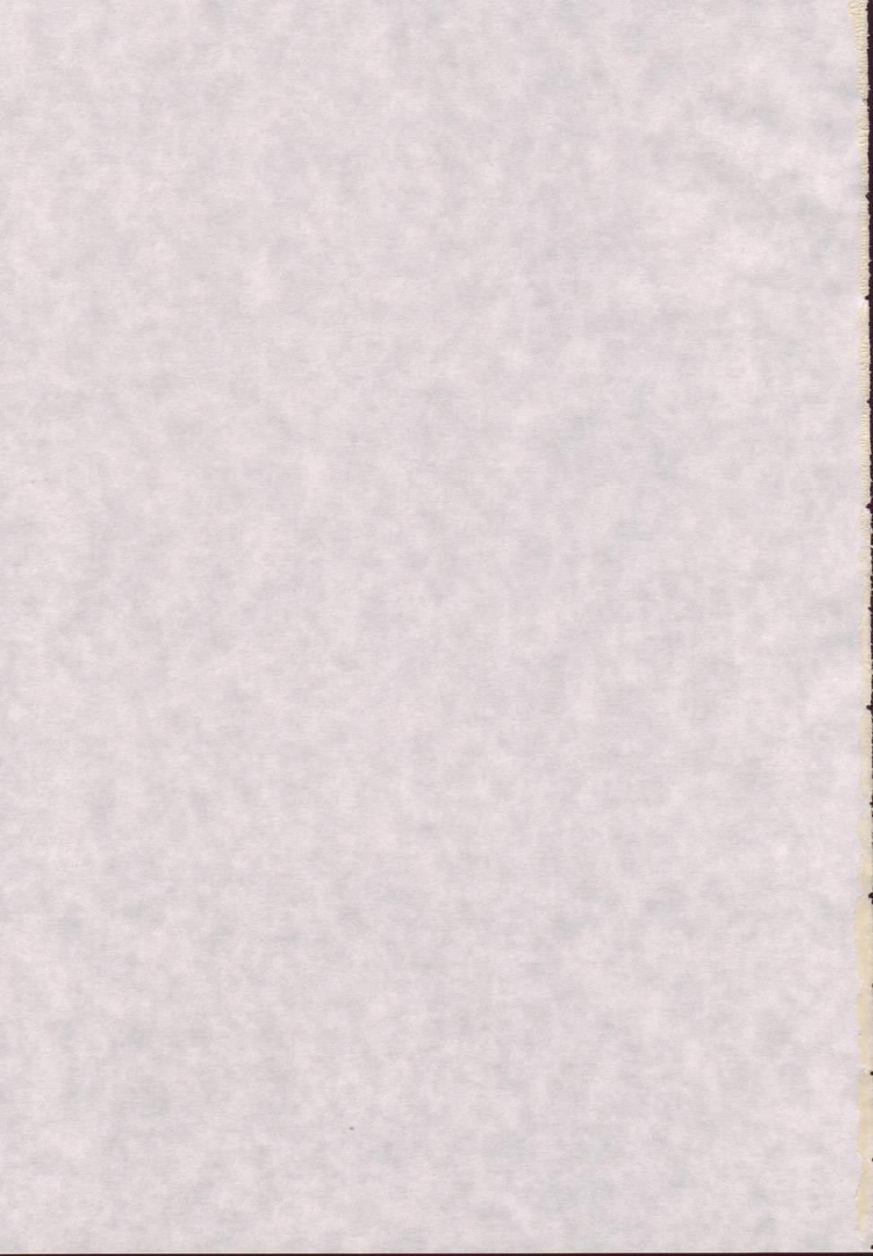 Iro-7 page 2 full