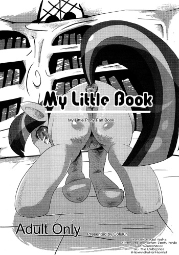 My Little Book cover
