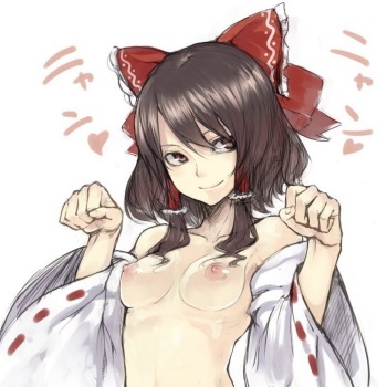 Touhou 100 pics5 cover