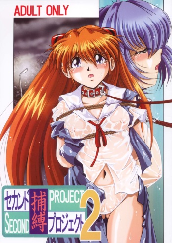 Second Hobaku Project 2 cover