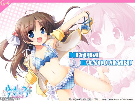 Neko NatsuComi Set Petit Fan Disk page 1 full