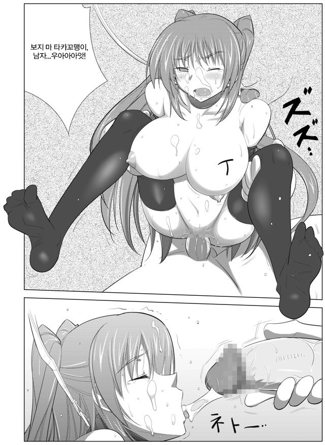 APPENDIX XIII page 4 full