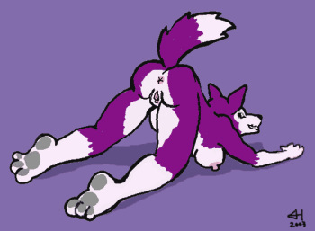 furry yiffs cover