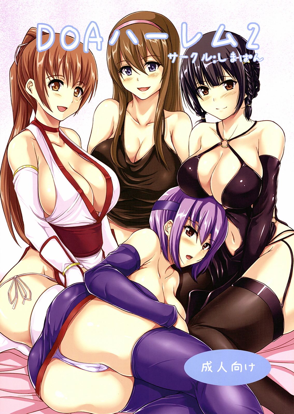 DOA Harem 2 page 1 full