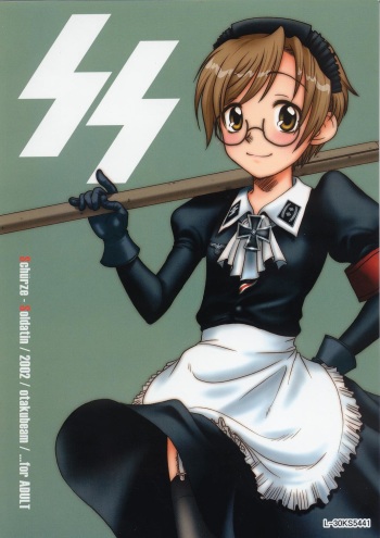 SS cover