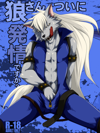 Ookami san, Tsuini Hatsujou Desuka? cover