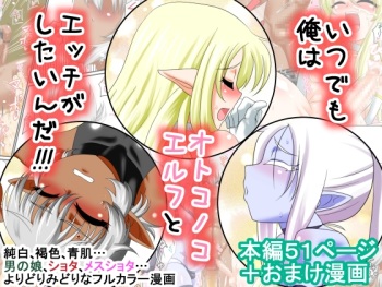 Itsudemo Ore wa Otokonoko Elf to Ecchi ga Shitainda!!! cover