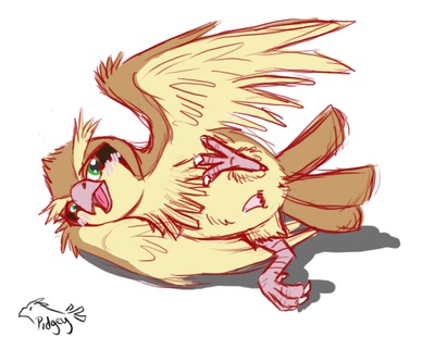 pidgey pidgeotto pidgeot page 3 full