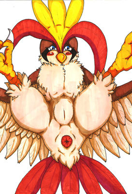 pidgey pidgeotto pidgeot page 8 full