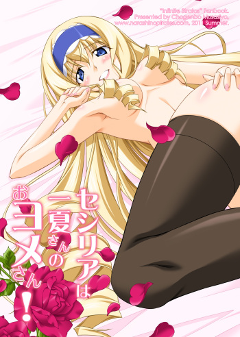Cecilia ha Ichika-san no Oyome-san! | Cecilia is Ichika's Wife! cover