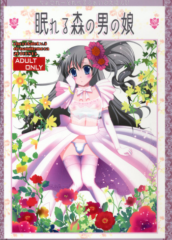 Nemureru Mori no Otoko no Ko cover
