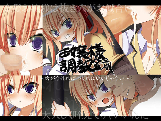 Ojousama Choukyou Roku ~Ana ga Nakere ba Tsukure ba ii Janai~ page 1 full