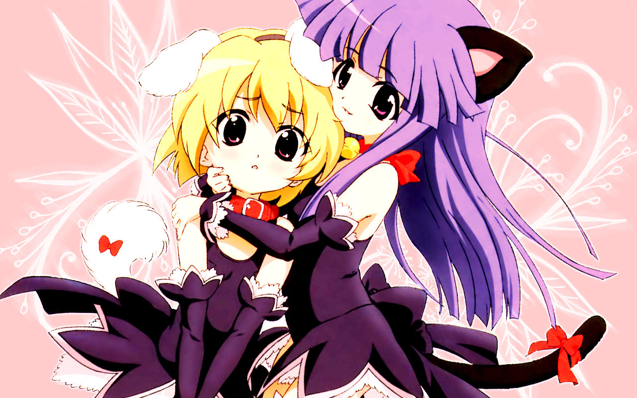 Catgirl Wallpaper 16:10 Ratio page 8 full