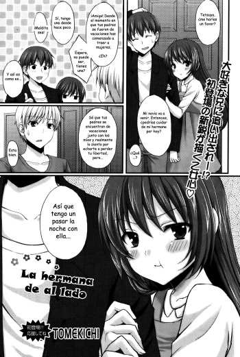 The Sister Next Door cover