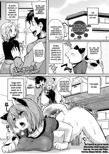 Nyanko na Hatsujouki | Entrando en celo como un gato cover