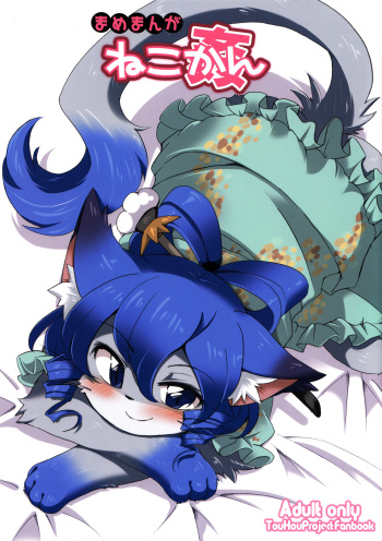 Neko kan cover
