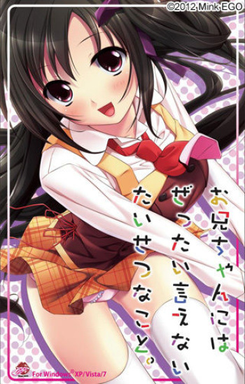 Onii-chan ni wa Zettai Ienai Taisetsu na Koto cover