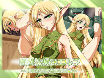 Yami Tougijou no Elf cover