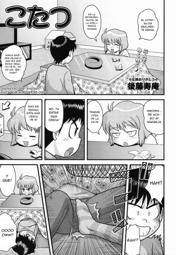 Kotatsu cover