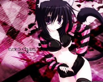 Nekos cover