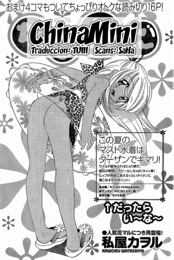 Chinamini cover
