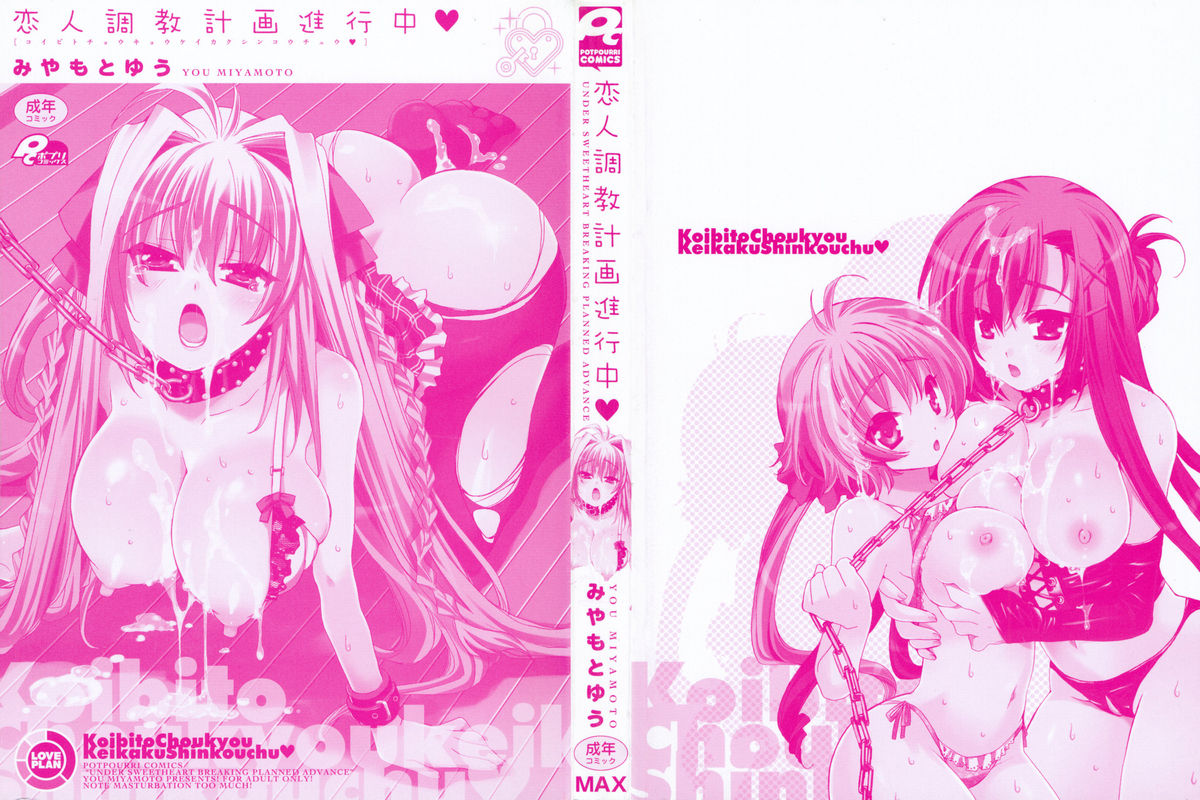 Koibito Choukyou Keikaku Shinkouchuu page 3 full