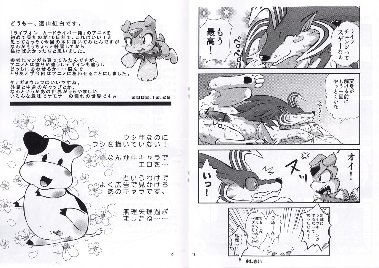 2009 Gashou page 10 full