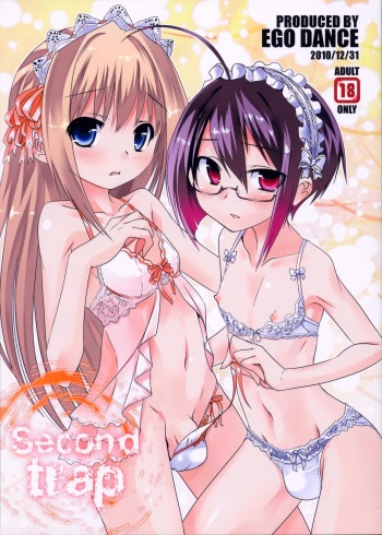 Second trap cover