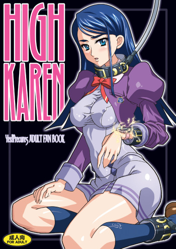HIGH KAREN cover