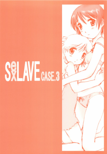 SexLAVE CASE.3 cover