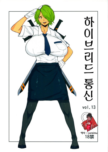 Hybrid Tsuushin vol.13 cover