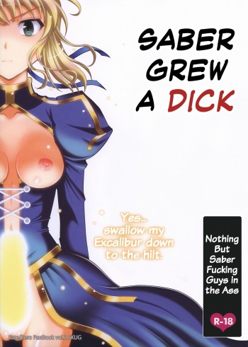Saber ni Chinko ga Haeru Hon | Saber Grew a Dick   =SW= cover