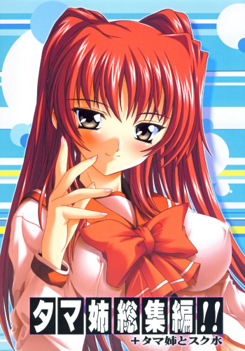 Tama-nee Soushuuhen!! cover