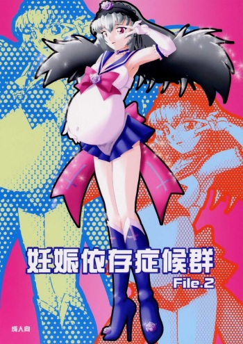 Ninshin Izonshoukougun File.2 cover