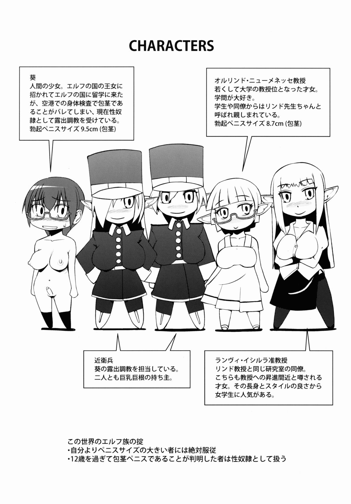 Elf no Kuni no Ochitai Kyouju page 4 full