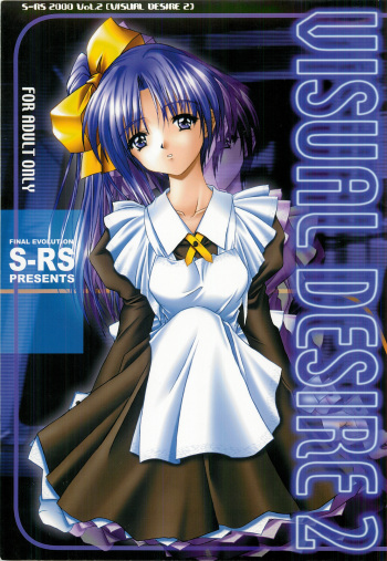 VISUAL DESIRE 2 cover