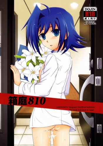 Hakoniwa 810 cover
