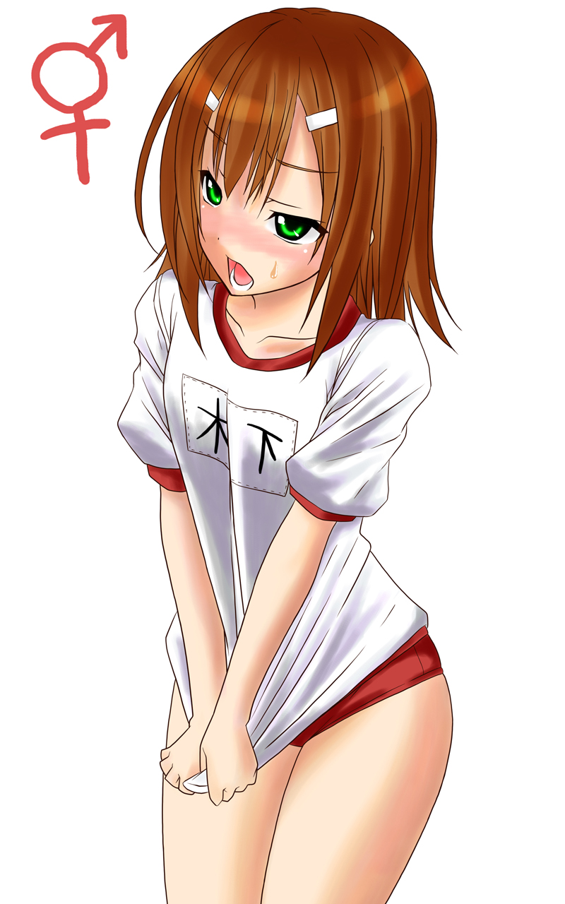 Hideyoshi page 5 full