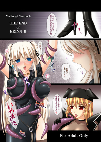 THE END of ERINN II cover