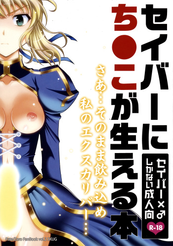 Saber ni Chinko ga Haeru Hon cover