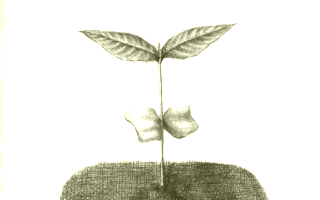 Meisou Toshi page 7 full