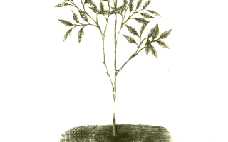 Meisou Toshi page 8 full