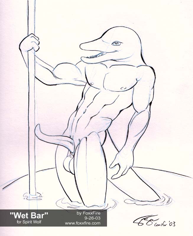 Whales/Orcas/Dolphins page 3 full