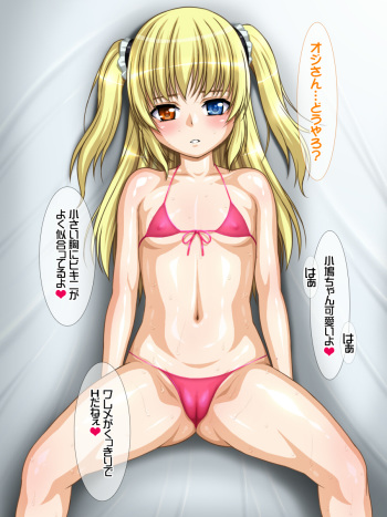 NightHawk XXIX Tokuten Gazou cover