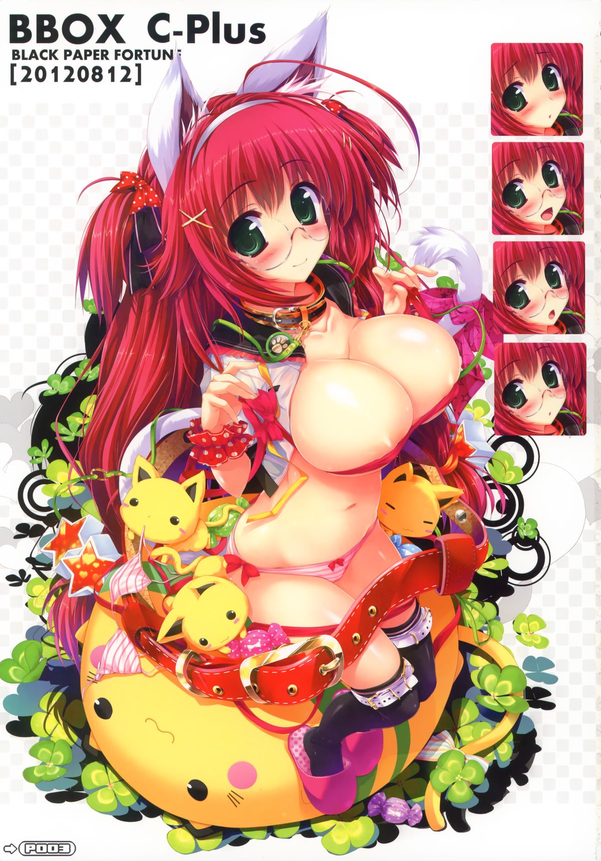 BBOX C-Plus 01 page 3 full