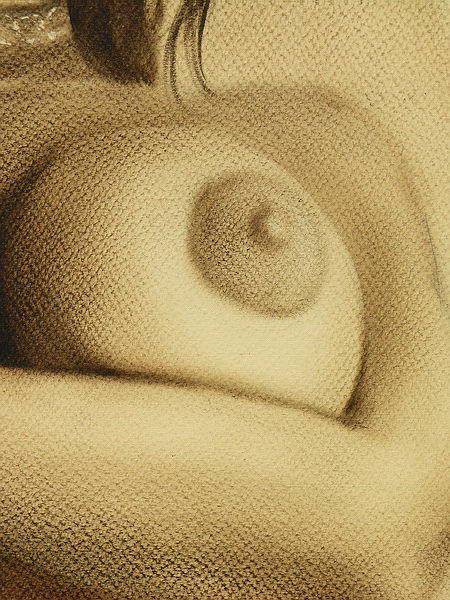 EROTIC ART COLLECTOR 0020 ANNA DAVIDCHENKO page 4 full