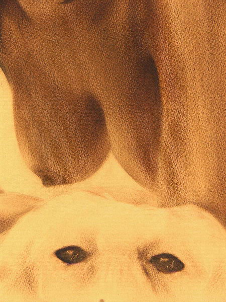 EROTIC ART COLLECTOR 0020 ANNA DAVIDCHENKO page 7 full