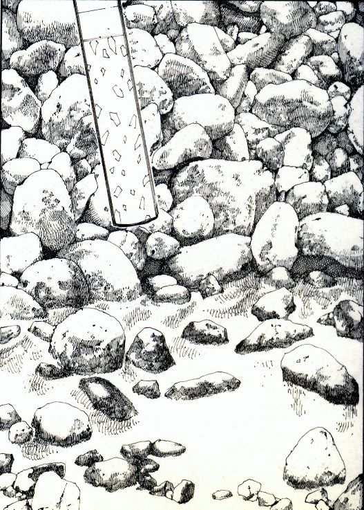 MR.WHITE's Pixiv works  PART3 page 9 full