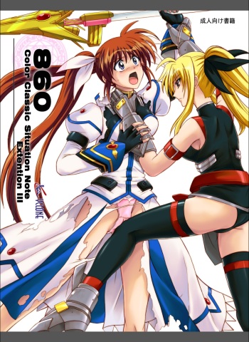 860 - Color Classic Situation Note Extention III cover