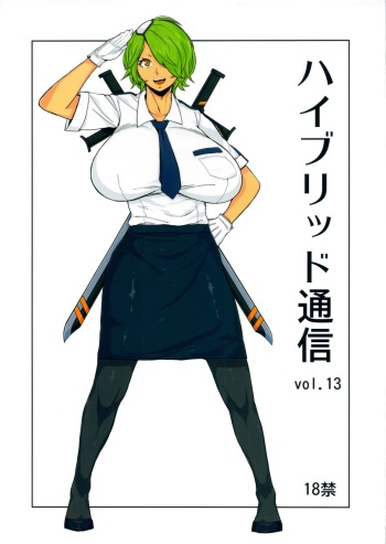 Hybrid Tsuushin vol.13 cover